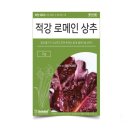 씨앗 쇼핑하우