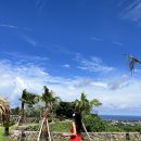 오션테라스풀빌라(나동) 이미지