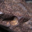 운석농장 이미지