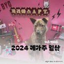 (주)정푸드 | 2024 메가주 일산 케이펫페어 첫째날 오픈런 후기 꿀팁