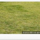 칠성인력공사 네이버블로그