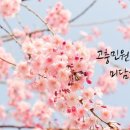J0203 이미지