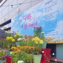 독산4동 주민센터 이미지