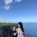 한빛렌트카 | 일본여행 오키나와 가볼만한 곳 북부투어 내돈내산 만좌모