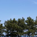 조평2리 버스정류장 전 | 해파랑길 48,47코스 2박 3일 트레킹, 백패킹 후기 [1부]