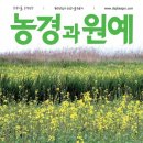 나무Ⅰ
