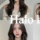 헤일로헤어 - 양천구 | 헤일로헤어