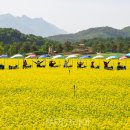 고석정광장 이미지