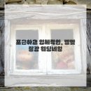 네일;비단