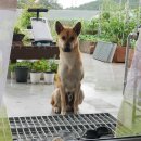 굳디컴퍼니 이미지