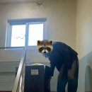 두개더짐 이미지