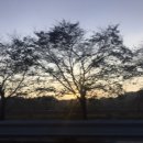 여주-1108 이미지