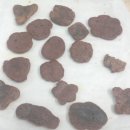 해냄마인드케어센터 이미지