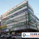 사파동239 이미지