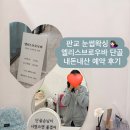 레드존Bar | [판교 눈썹왁싱] 엘리스브로우바 단골이 알려주는 티켓팅 후기