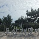 카페네르하