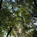 은계약수터 이미지