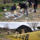 진실농장 이미지