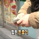라이징파트너스 - 군산시 대학로 342 | 바이탈플랜트 롤 팬 크림컬러 구매 후기 | 장단점 (내 돈 내산)