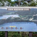 콩매아 이미지