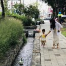 금하마을(도시재생) 1 이미지