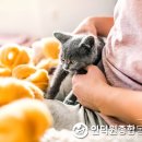 사랑종합동물병원 이미지