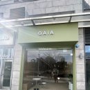 가이아커피 이미지