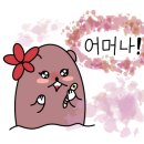 3H한마음센터 이미지