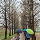 화수공원 이미지