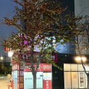 GS25 마포구청역 이미지