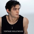 헐리우드 이미지