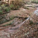 삼태미마을 이미지