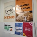 신안코아 이미지