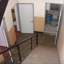 라이브구이 이미지