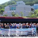 민들레여행 이미지