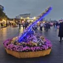 국화전시회 버스킹 문화공연 이미지