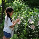 백합유치원 이미지