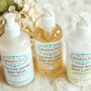 엘스케어 이미지