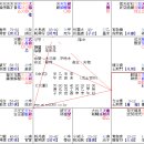 루프스 난치병 이미지