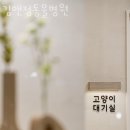 김앤정동물병원 이미지