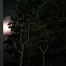 코코스페이스 이미지