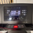 LOUIS GYM | 스페인 day6. 11월에도 수영하는 칼로 데스 모로, 팔마 미슐랭 저녁