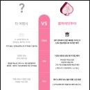 주시고히사 블랙래빗 | 일본 오사카 여행 코스 단독 오사카 패키지 여행 교토 2박 3일