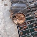 남악3로 82번길 이미지