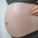 베이비밀리 0원딜 이벤트 당첨 후기 (부담제로 매터니티 임산부크림)