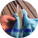 방갈로낚시터[천보산낚시터]민박후기