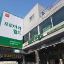 일등자동차주