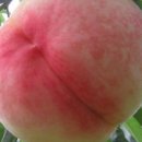 리틀스퀘어 이미지