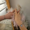 가죽 꽃팔찌 | 성수데이트추천 - 성수팔찌공방 플라비 써지컬팔찌, 기념일코스추천 원데이클래스 후기