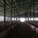 왕궁농장 이미지